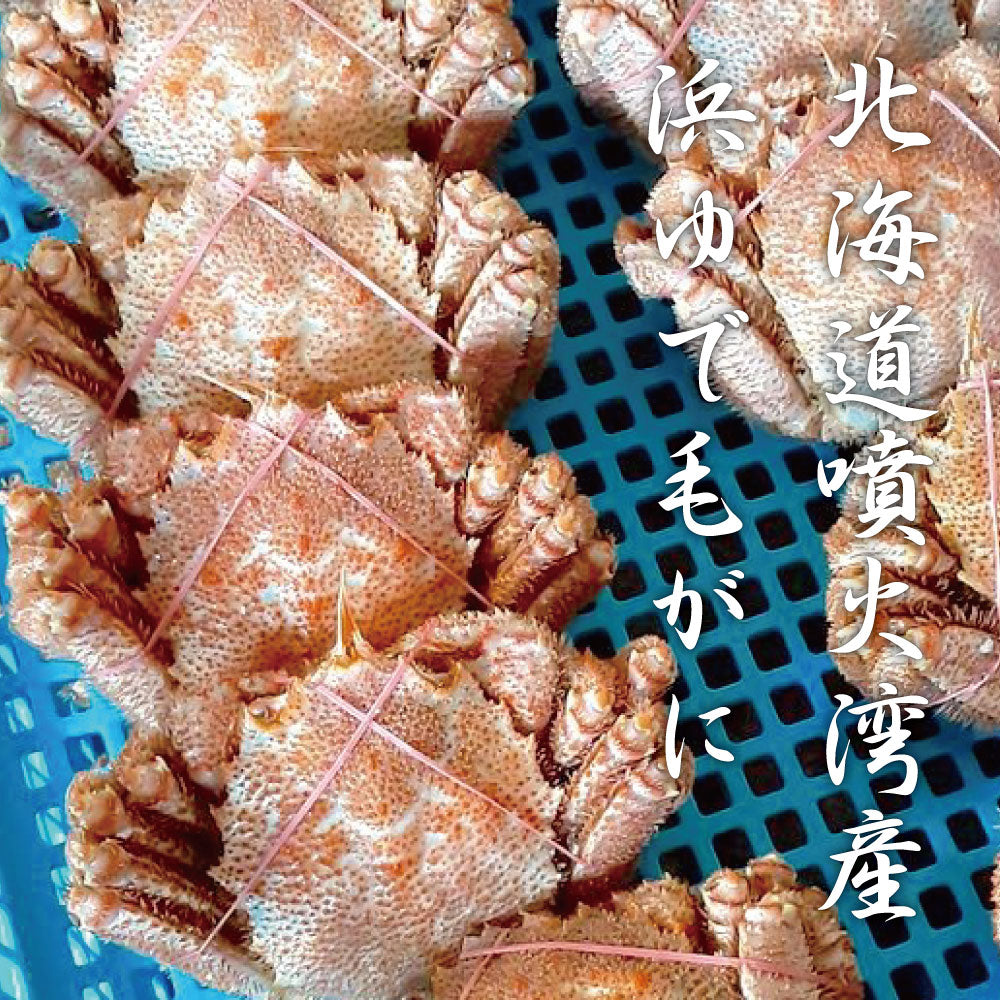 噴火湾産 浜ゆで 毛蟹 400g×2 （冷凍） – 北海道のお取り寄せ地元市場