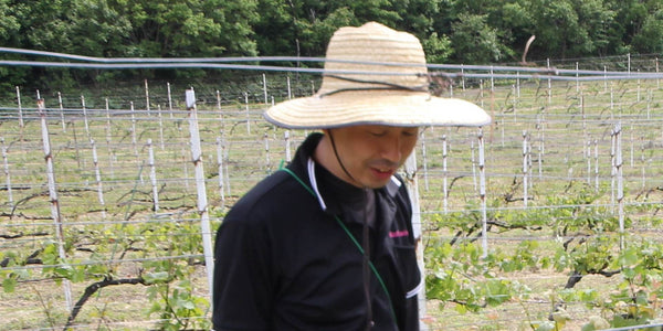 1999年生産開始北海道の小さな島が挑むワイン作り | 奥尻ワイナリー