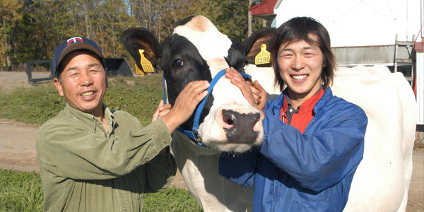 【北海道の牛乳で作る絶品ヨーグルト】ニセコ高橋牧場 | 北海道のおすすめお取り寄せグルメ