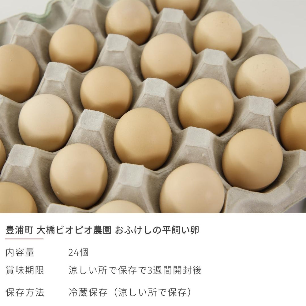 
                  
                    豊浦町 大橋ビオピオ農園 おふけしの平飼い卵　24個
                  
                
