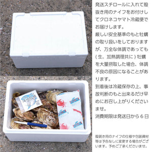 
                  
                    北海道知内産 海峡牡蠣 30個入（200g前後/殻付き一個）
                  
                