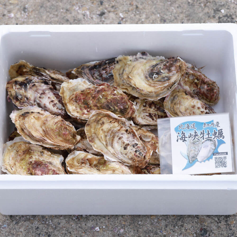 
                  
                    【期間限定】北海道知内産 海峡牡蠣 （15個） マルキ木元漁業部
                  
                