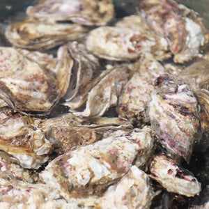 
                  
                    【期間限定】北海道知内産 海峡牡蠣 （15個） マルキ木元漁業部
                  
                