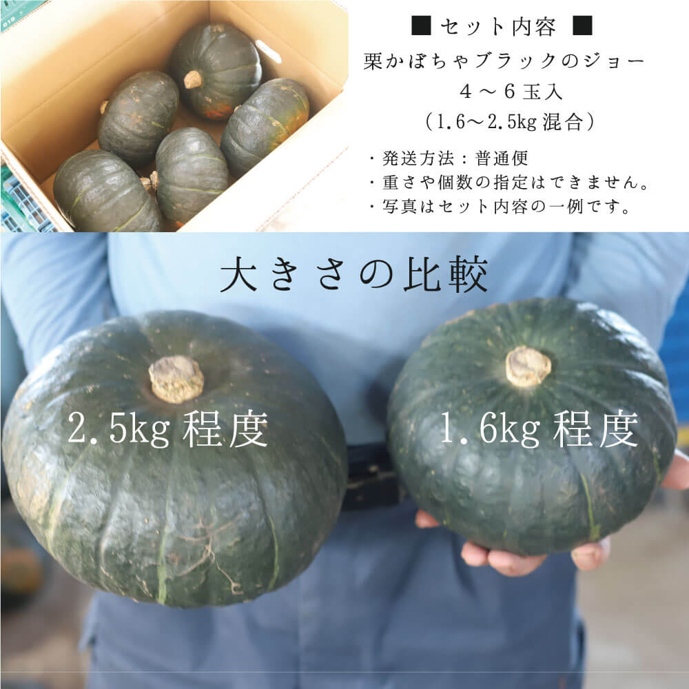
                  
                    岡田農園 栗かぼちゃブラックのジョー 4~6玉（1.6kg~2.5kg混合）
                  
                
