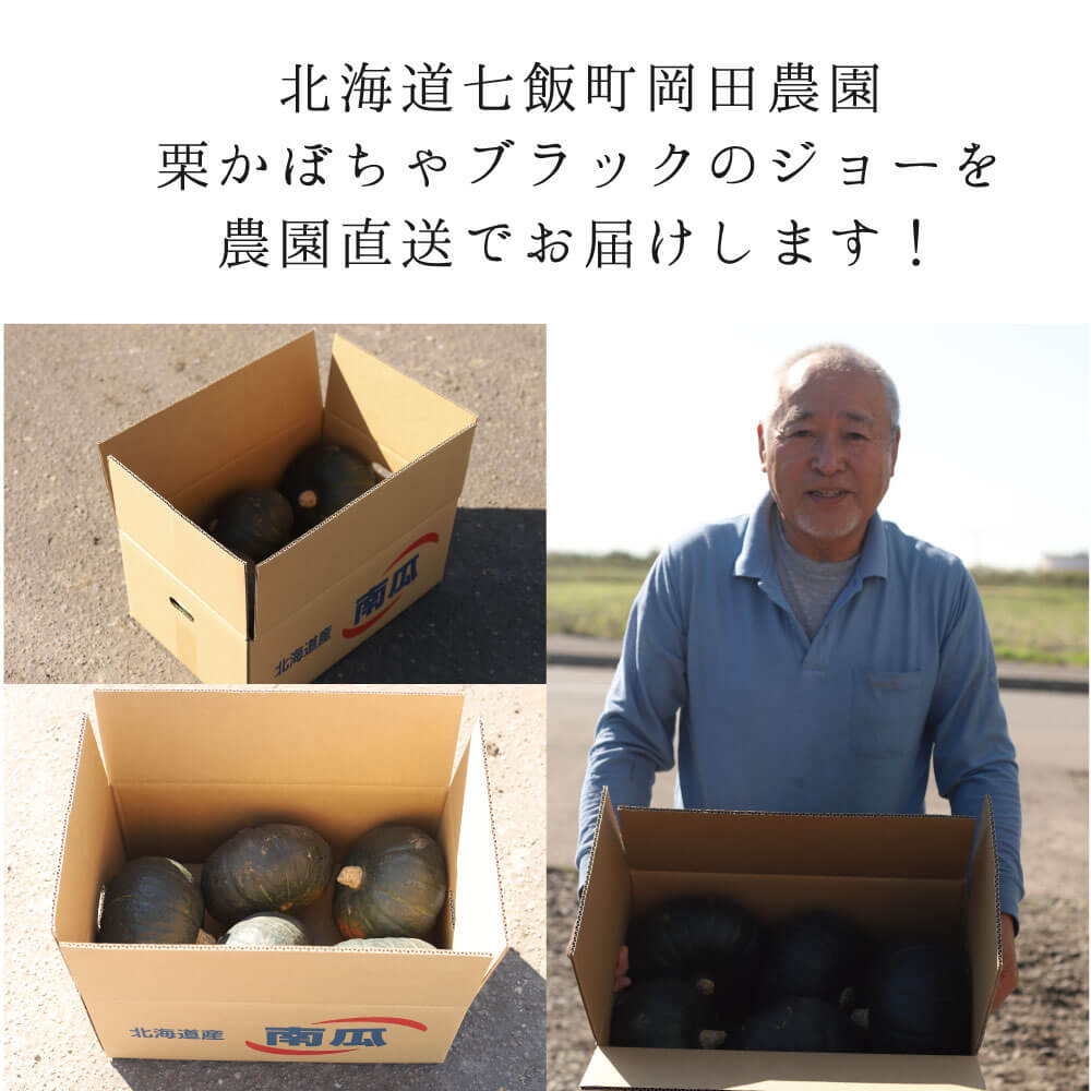 
                  
                    岡田農園 栗かぼちゃブラックのジョー 4~6玉（1.6kg~2.5kg混合）
                  
                